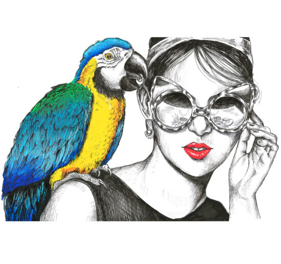 Perroquet